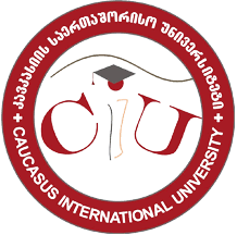 Caucasus International University