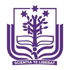 IDEA College