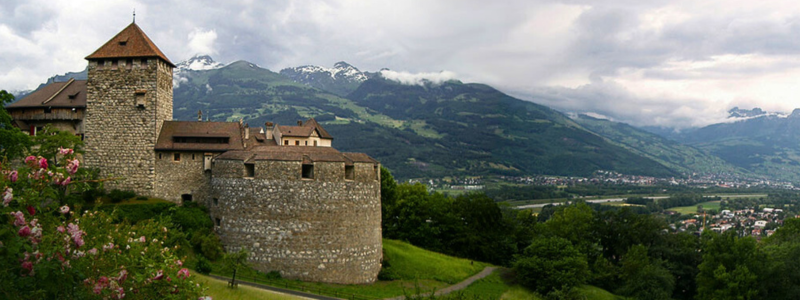 Liechtenstein Institute