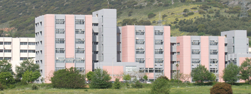 University of Ioannina