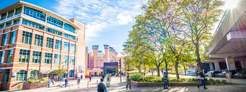 Online Business School