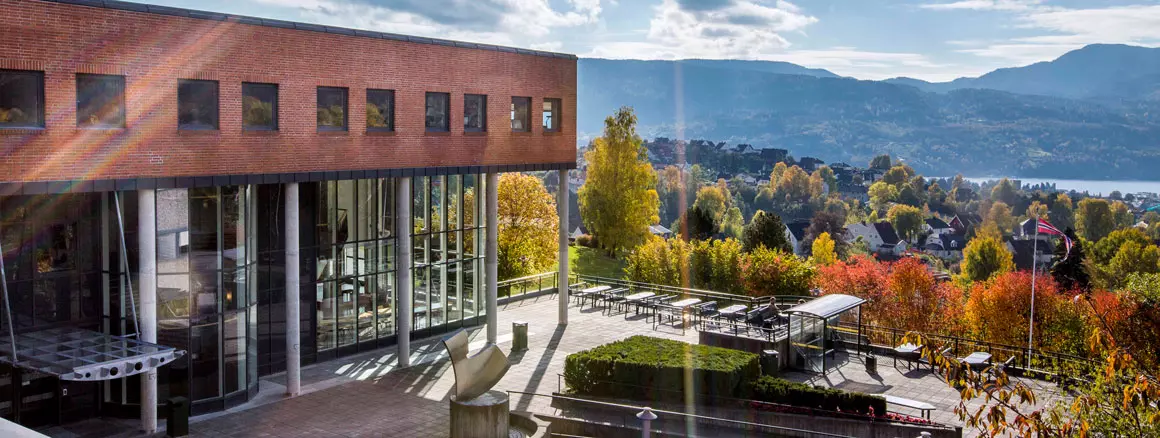 University of South-Eastern Norway (USN)