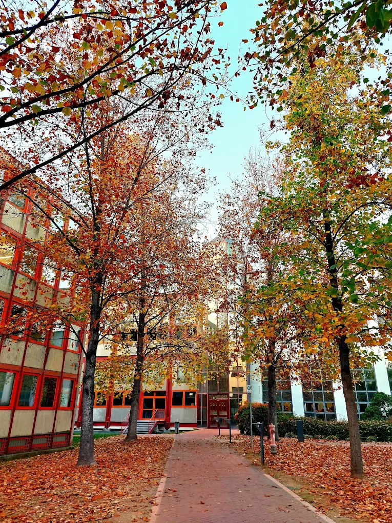 University of Verona